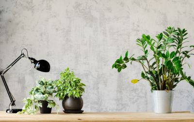 Kitchen Wallpaper Installation in Roswell, GA