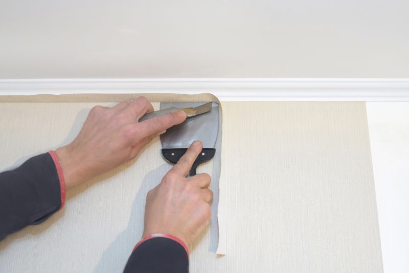 Wallpaper Restoration in Overland Park, KS